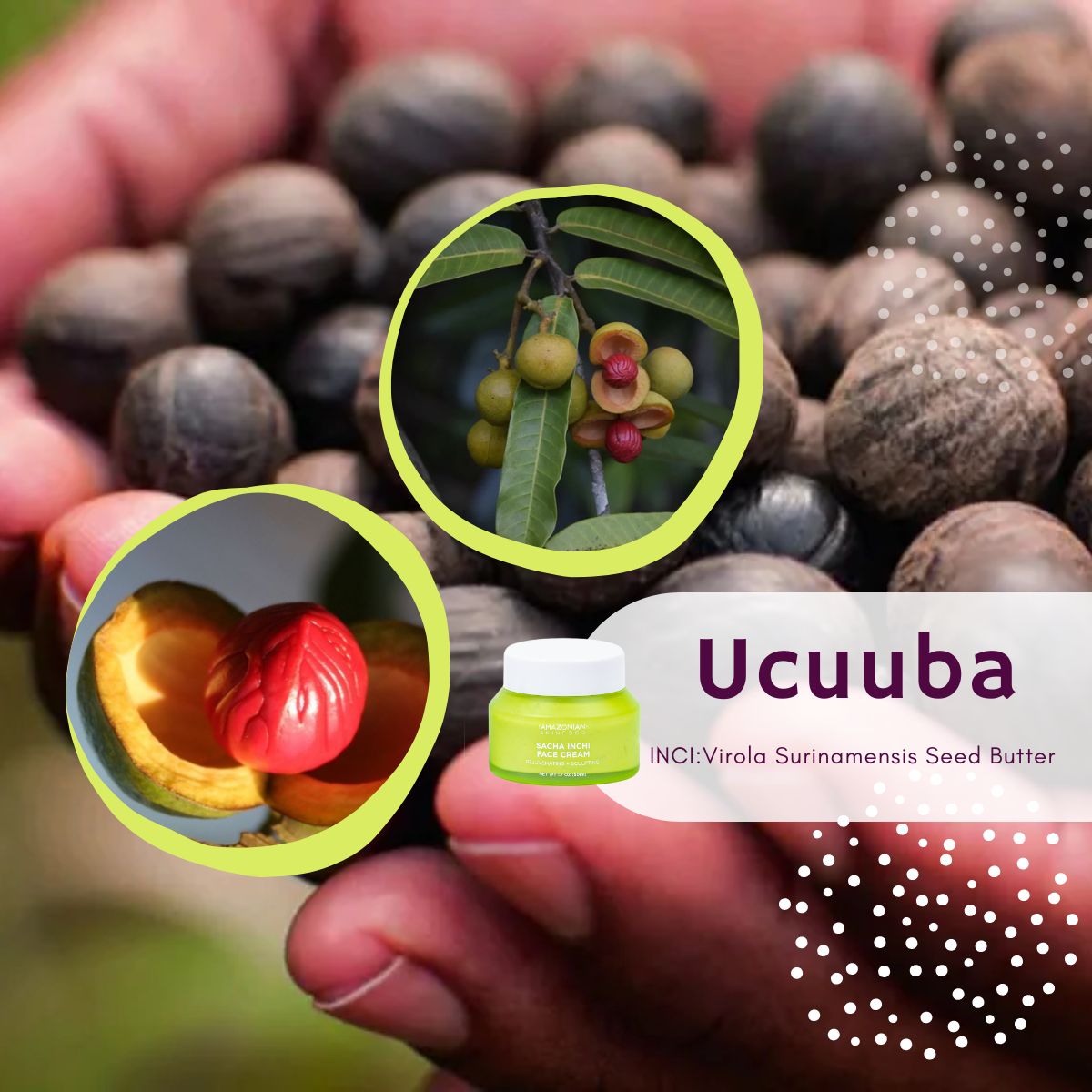 Beyond Shea Butter: The Rise of Ucuuba Butter in Modern Skincare - AmaSKN Beauty