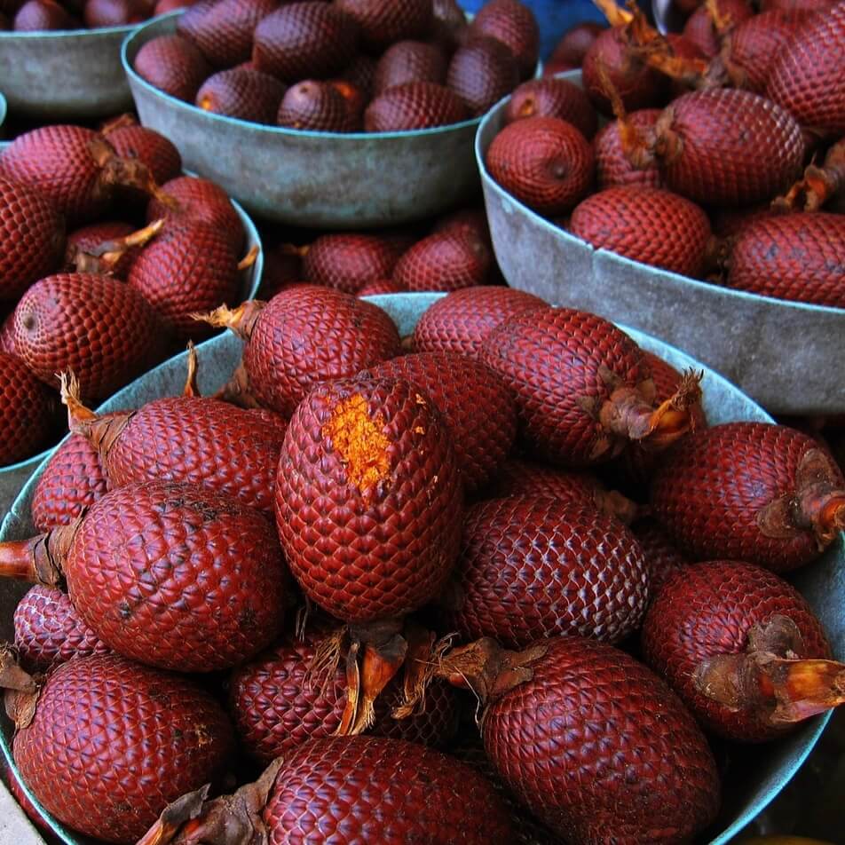 Buriti, The Tree of Life - AmaSKN Beauty