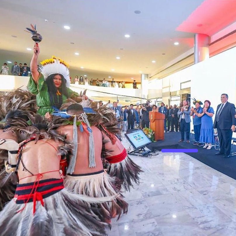 Leading the Charge: Meet Sonia Guajajara, the Indigenous Woman Fighting for the Amazon - AmaSKN Beauty