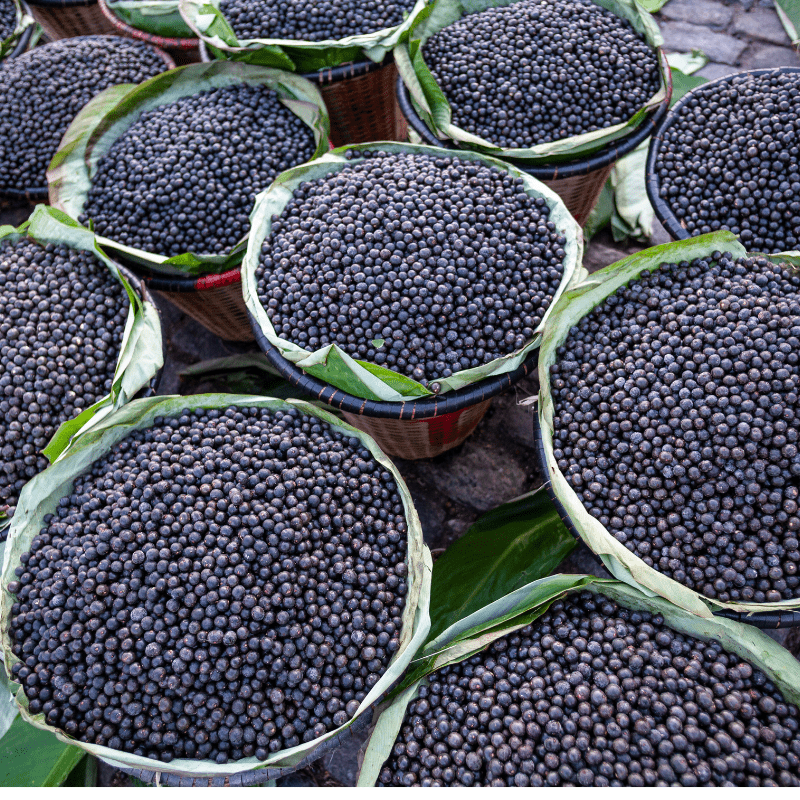 Açaí, The Beauty Berry - AmaSKN Beauty