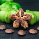 Sacha Inchi Peptides