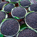 Açaí Oil